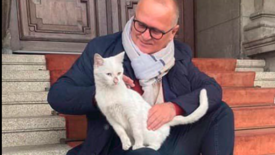 VESIĆ OBJAVIO LEPE VESTI Maca koja je došla ispred Skupštine biće udomljena, javilo se 5 porodica