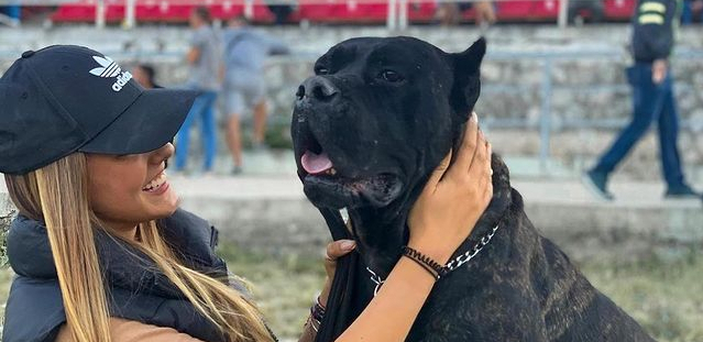 LJUBICI JE UKRADEN PAS: Nudi nagradu od 1.000 evra, ako ga vidite, javite joj se! (FOTO)