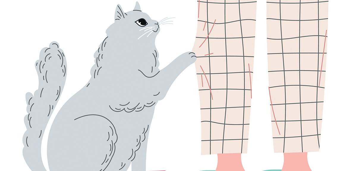 KAKO DA VAS ZAVOLI MAČKA Stari trikovi koji su se pokazali kao uspešni