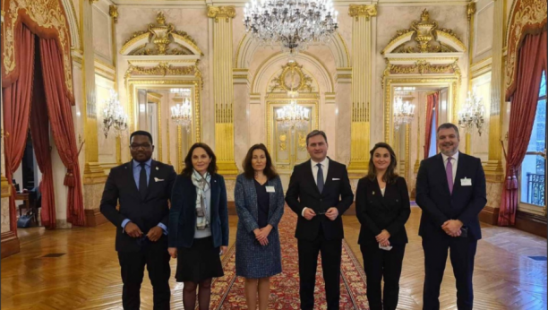 SNAŽNA PODRŠKA FRANCUSKIH ZVANIČNIKA SRBIJI: Izuzetno ste važni za nas