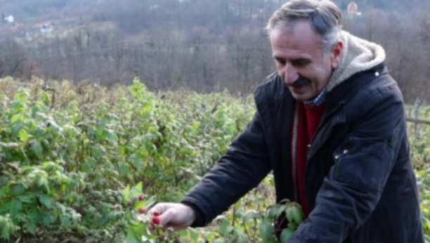 PRIJOVIĆIMA DONOSI ZARADU TOKOM ČITAVE GODINE Rađa čak i u decembru, plodovi se crvene iako je svuda okolo sneg (FOTO)