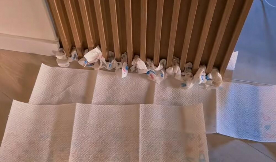 POPLAVA U STANU LUNE I MARKA, BEBU MORALI DA ODVEDU Đoganijeva i Miljković sprečavaju havariju