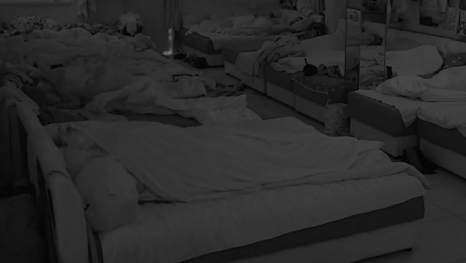 DVA ZADRUGARA UHVAĆENA U GEJ AKCIJI? Zajedno u krevetu, krenuli da se maze i češkaju misleći da ih kamera ne snima, a onda mu je on zavukao ruku, šok (VIDEO)