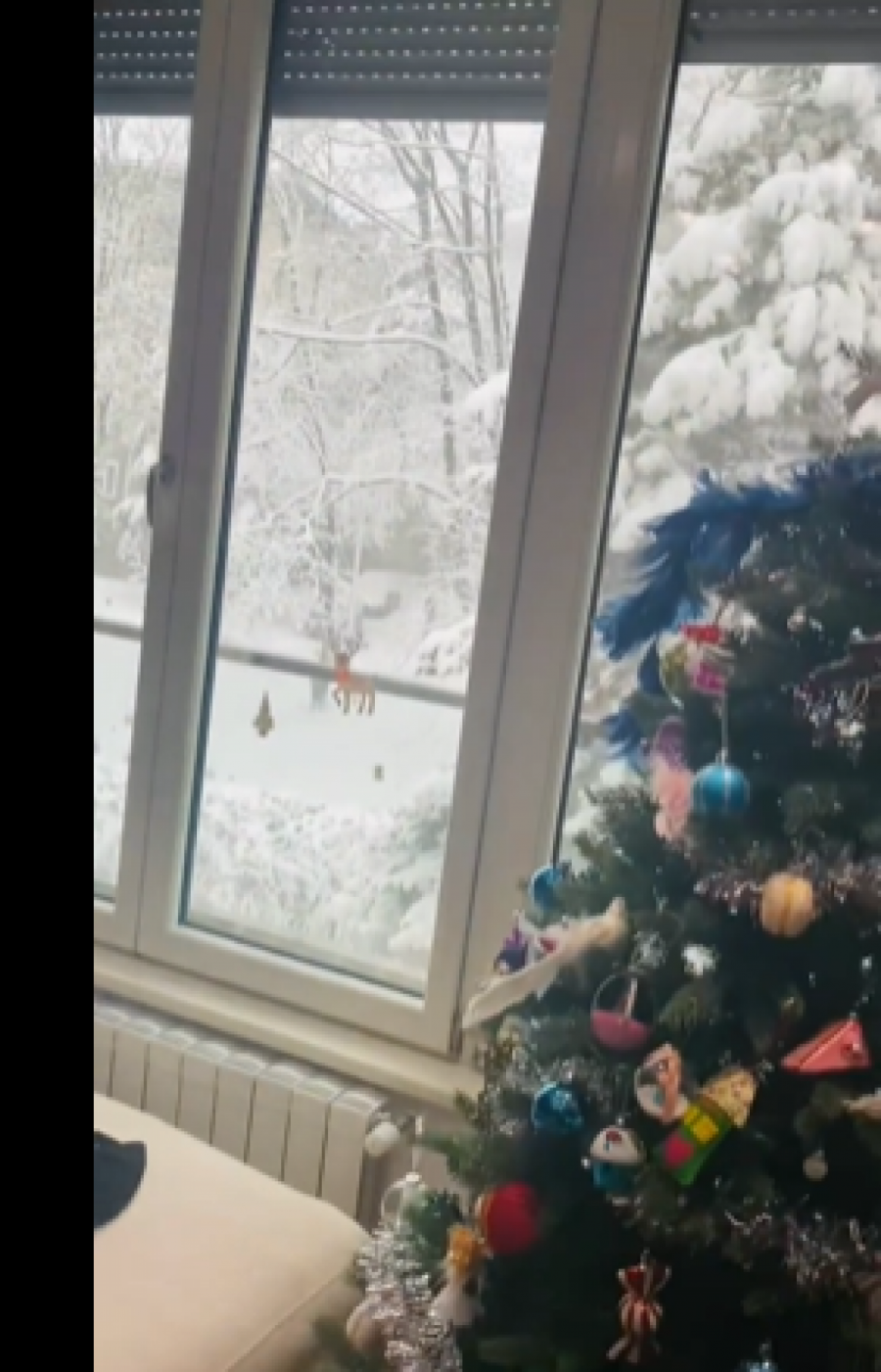 PRAVA BAJKA! Leontina uredila stan u prazničnom duhu, zastaće vam dah od unutrašnjosti