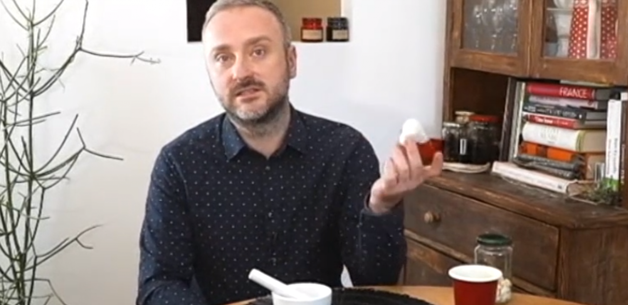 UMESTO LEKOVA, TREBAJU VAM DVE BILJKE Travar Momčilo Antonijević otkrio kako da se zauvek rešite alergije na polen