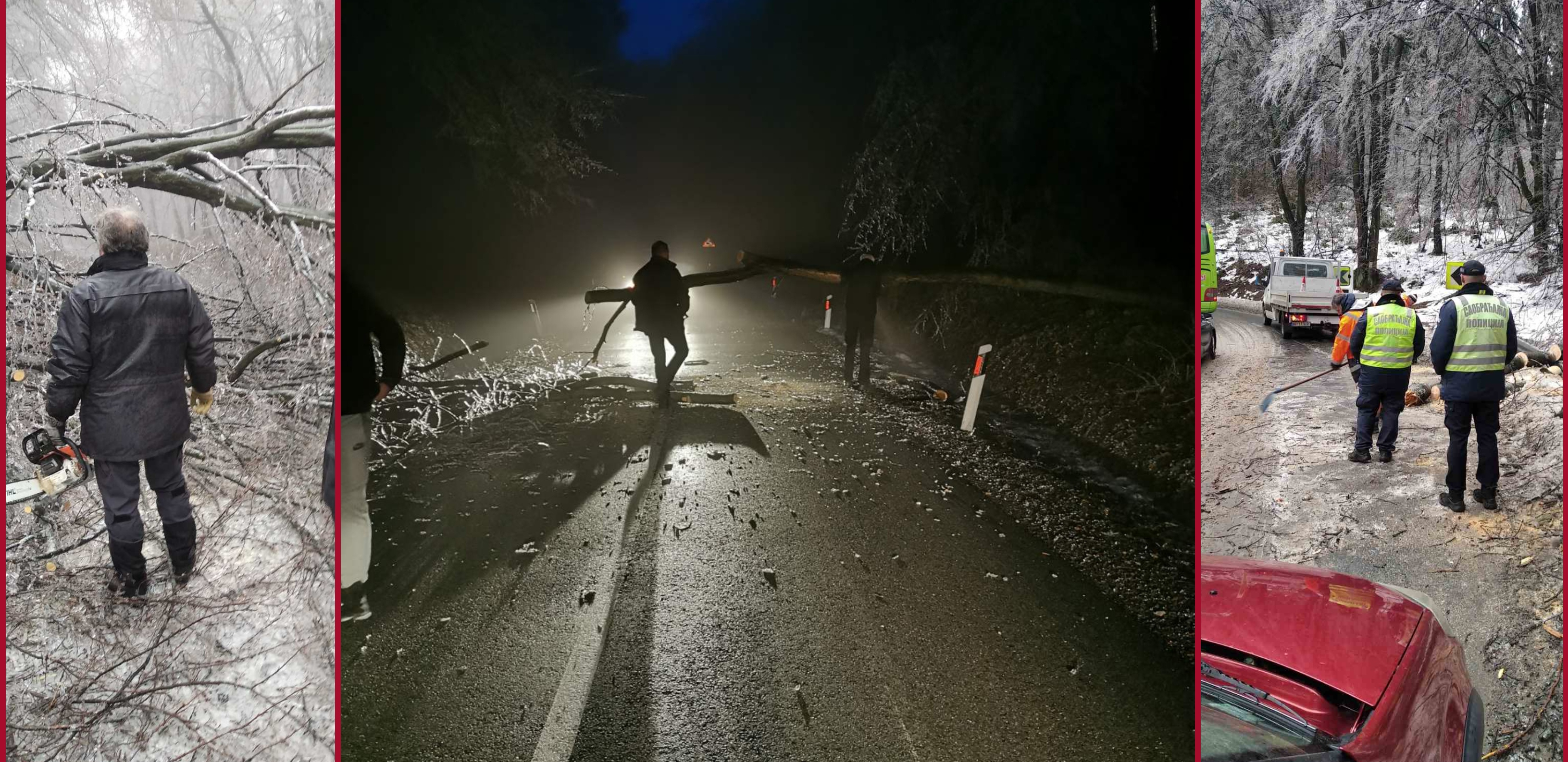 ZONA SUMRAKA U SUBOTICI Palo skoro svako drvo! (FOTO)