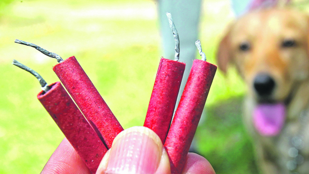 STOP PETARDAMA: Evo kako da sačuvate vašeg ljubimca od ponoćne traume