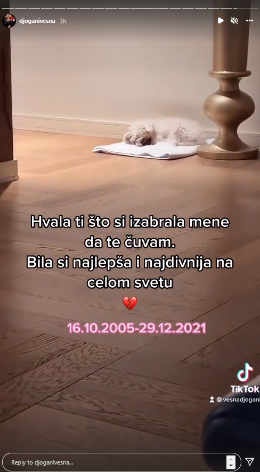 VELIKA TUGA U DOMU PORODICE ĐOGANI! Vesna ne može da se pomiri sa gubitkom!