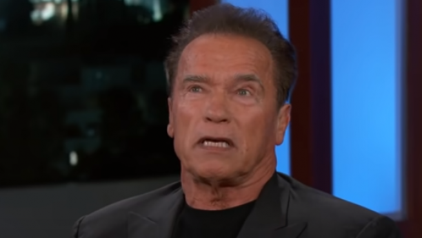 ŠVARCENEGER POSTAO DEDA Porodila se naslednica poznatog glumca