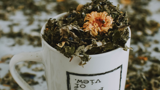 NARODNI "LEK" PROTIV UPALE PLUĆA Za kratko vreme će ublažiti sve tegobe, potrebna vam je samo ova biljna mešavina