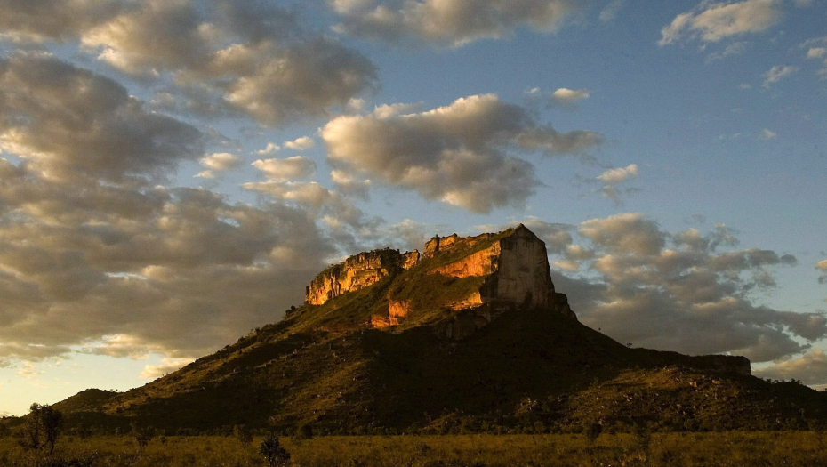 PORAZ ČOVEČANSTVA Rekordno uništavanje brazilske savane Serado tokom 2021. godine