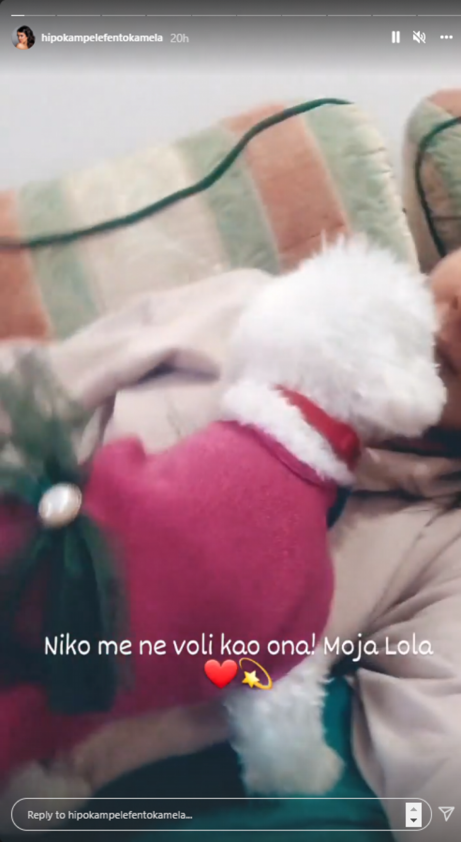 REŠENA MISTERIJA! Njen ljubavni život sve intrigira, a sada je Dragana Mićalović otkrila koga ljubi! (FOTO)