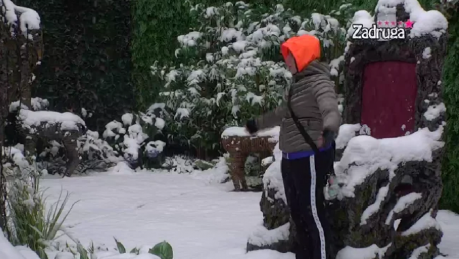 STRAST SE OSEĆA U VAZDUHU! Matora otkrila da se Dalila i Car gledaju, pa prokomentarisala Dejanovo teško  psihičko stanje!