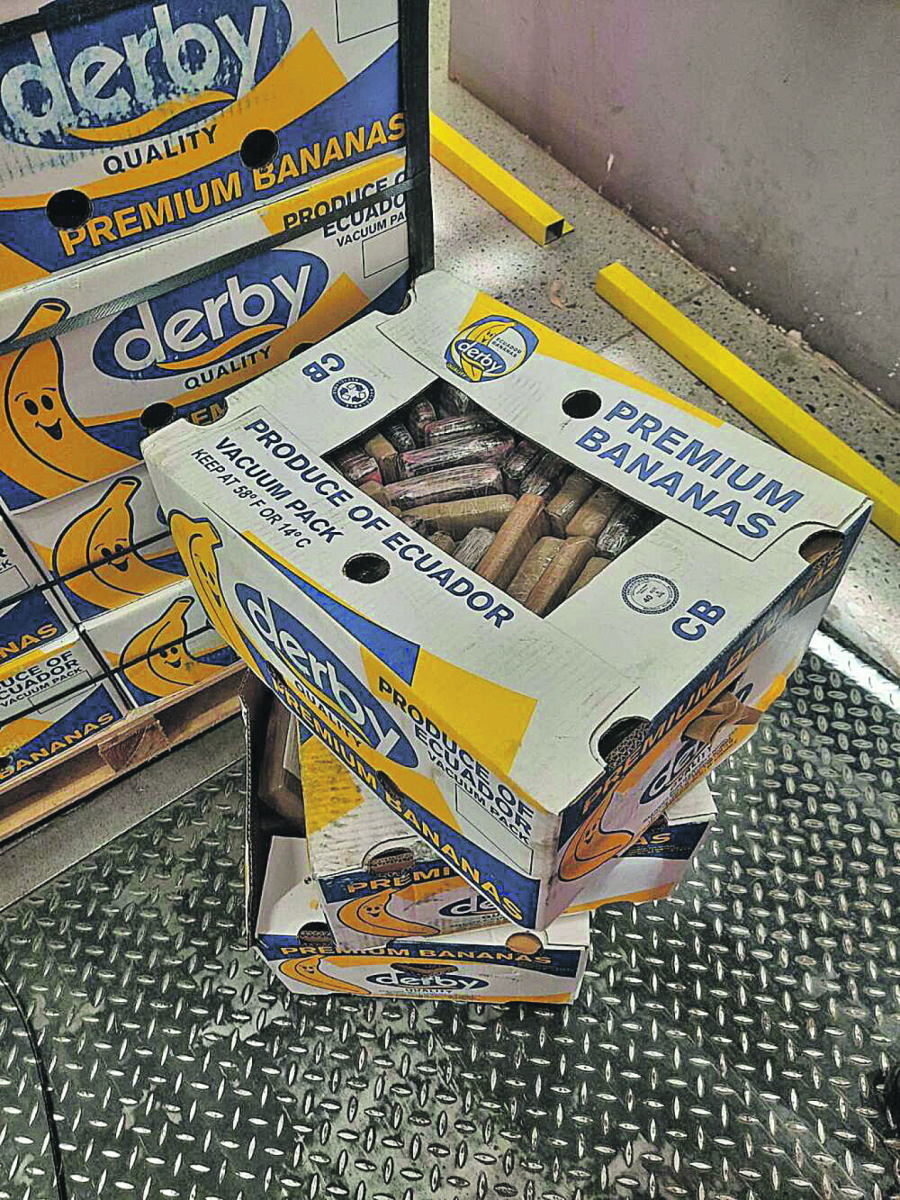 MILO, VOLI, KOKAIN! Đukanović doveden u vezu sa drogom nađenom u magacinu kompanije vlasnika KK Budućnost!