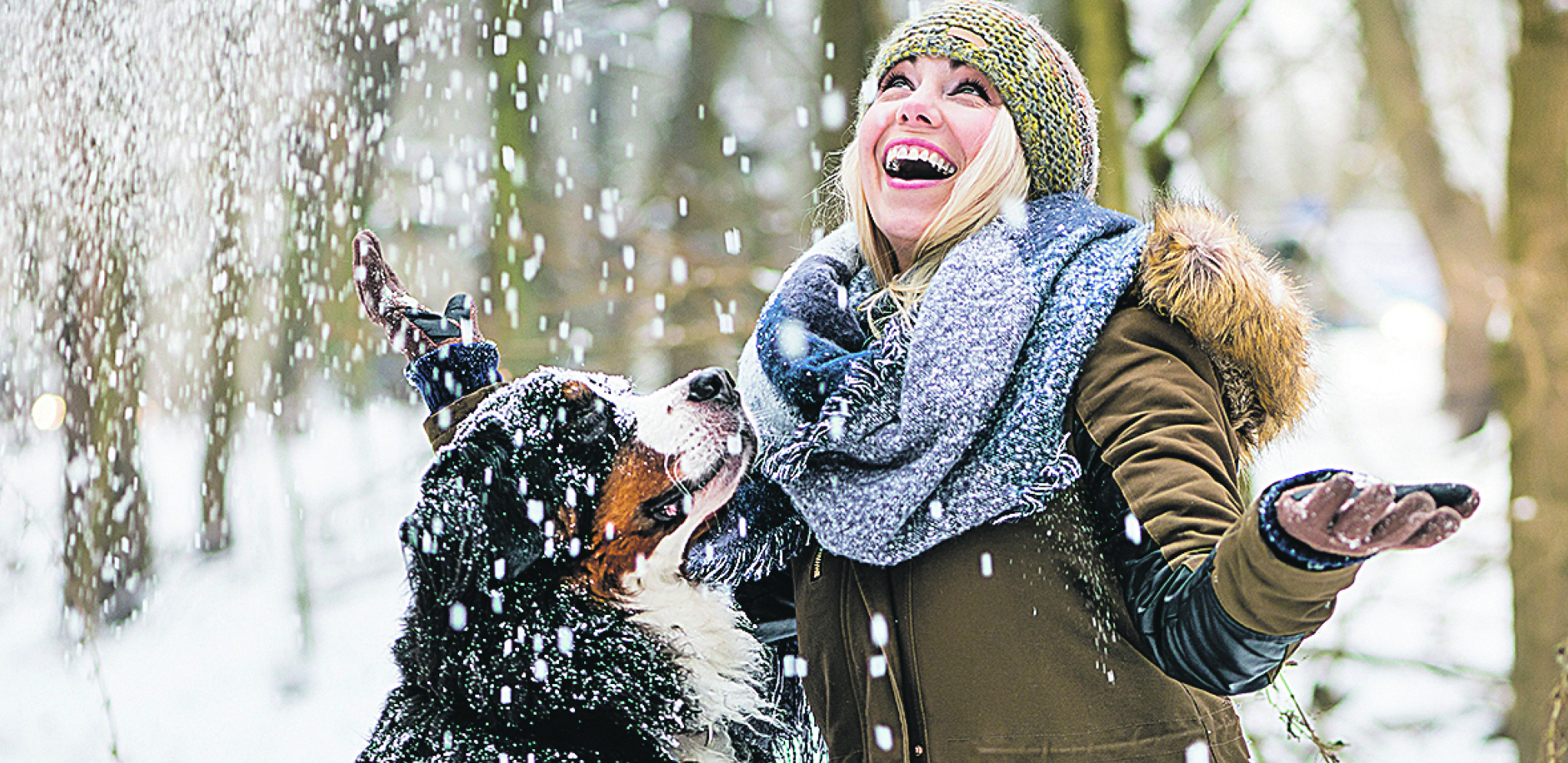 ODUVEK STE HTELI DA POPRIČATE SA SVOJIM KUĆNIM LJUBIMCEM Evo koliko reči vaš pas može zaista da razume