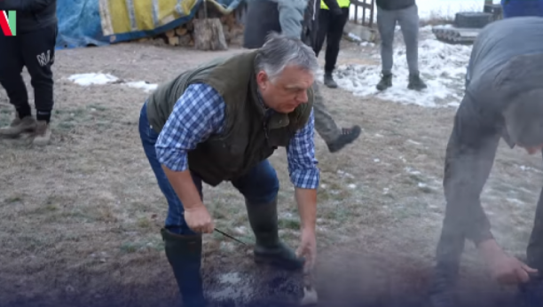 VIKTOR ORBAN ŠURI KRMKA Premijer Mađarske prenosio svinjokolj na Fejsbuku (VIDEO)