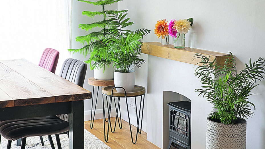 EVO ZAŠTO TREBA DA IZBEGAVATE OVE BOJE Vodite računa da ih bude minimalno u vašem prostoru