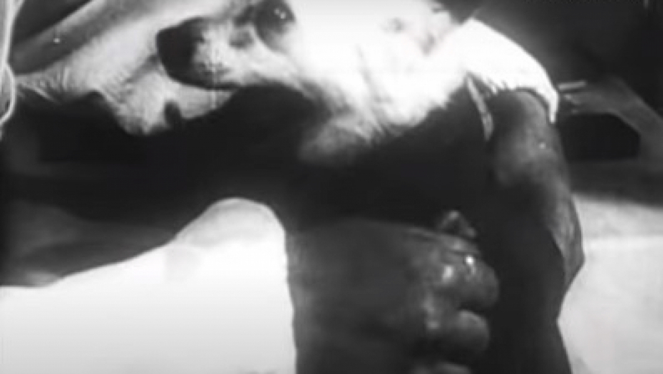 OTKRIVENA DUGO ČUVANA TAJNA Evo koliko je trajao Lajkin život u svemiru