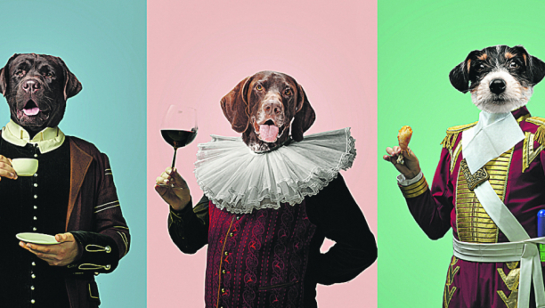 NE POSTOJE DVA ISTA KARAKTERA Najveća zabluda je biranje ljubimca na osnovu izgleda