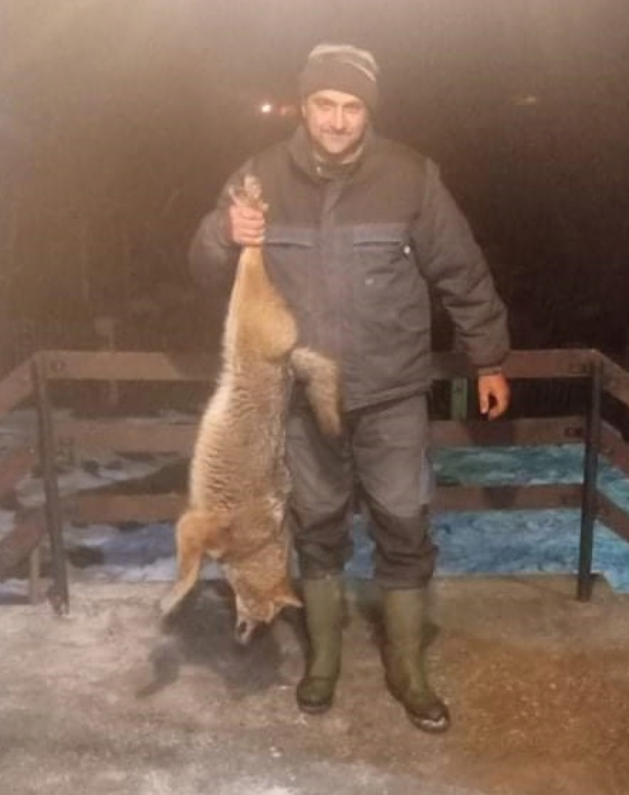 OPASNI PREDATORI U ŠUMAMA SRBIJE Napadi plaše stanovništvo, teško se love i zato ih je sve više! (FOTO)