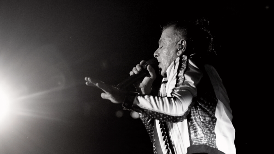 OTKRIVENO GDE ĆE AKI BITI SAHRANJEN! Iako je legendarni pevač godinama živeo u Sloveniji, porodica se odlučila za ovaj potez!