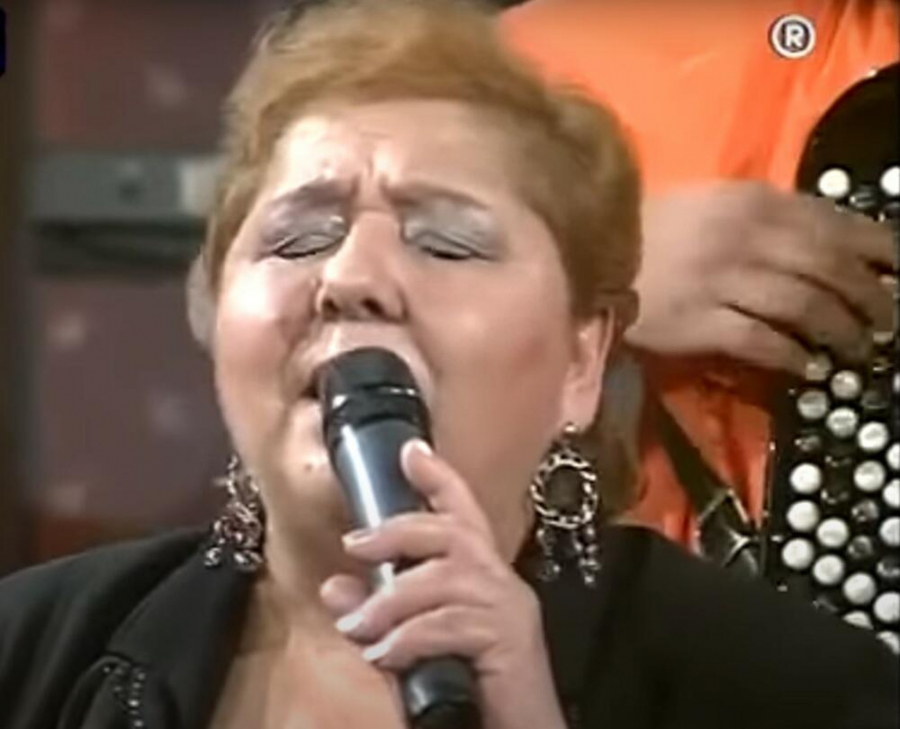 NIJE SE MIRILA SA TEŠKOM SUDBINOM! Bila je najveća folk zvezda osamdesetih, njene pesme svi znaju, a život Vide Pavlović je veoma bolan i tužan!