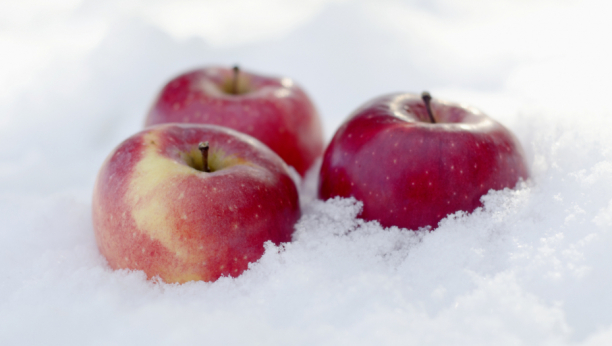 OVO OBAVEZNO MORA DA ZNATE Otkrivamo vam da li smete zimi da držite hranu na terasi!