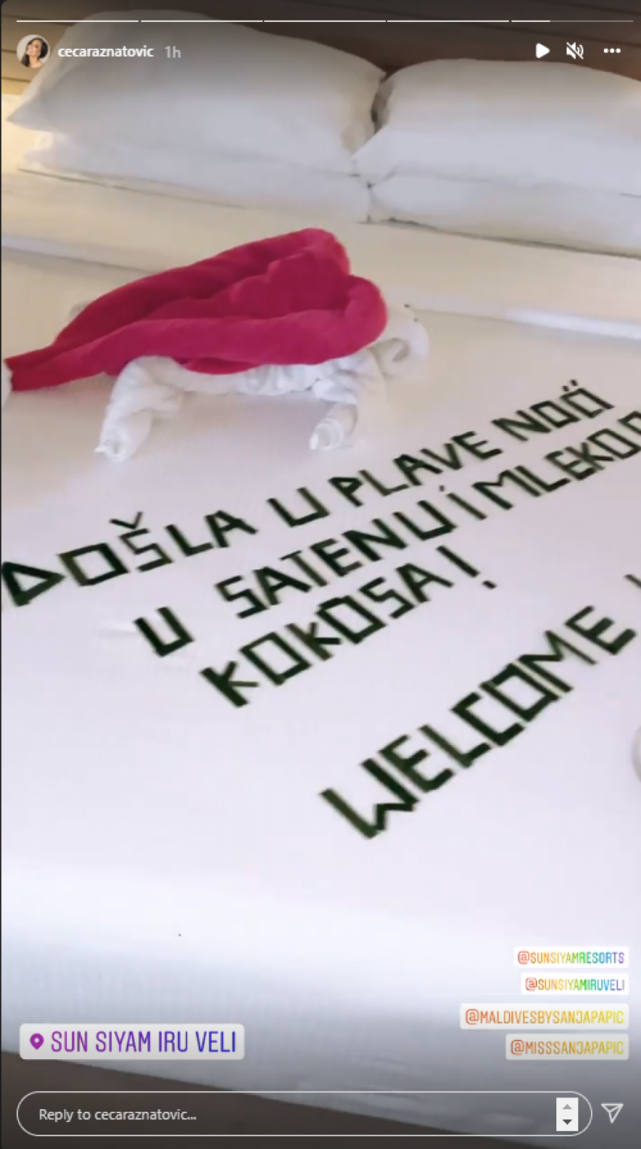 DOBRO DOŠLA U PLAVE NOĆI OD SATENA! Ceca doživela nesvakidašnje iznenađenje u spavaćoj sobi na egzotičnoj desinaciji! (FOTO)