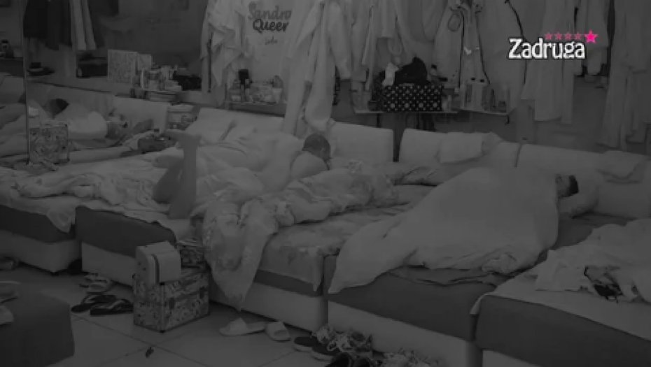 DEJAN POLJUBIO ALEKS?! Isplivao snimak na kom Dragojević i zadrugarka razmenjuju nežnosti, kamere zabeležile svaki detalj! (VIDEO)