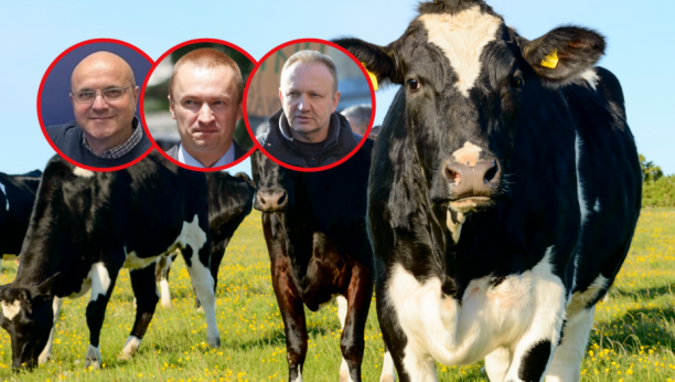 UZELI PARE, NARODU VRATILI SEME OD BIKOVA, PA JE I TO NESTALO Sulude kombinacije kojima je bivši režim pljačkao Srbiju