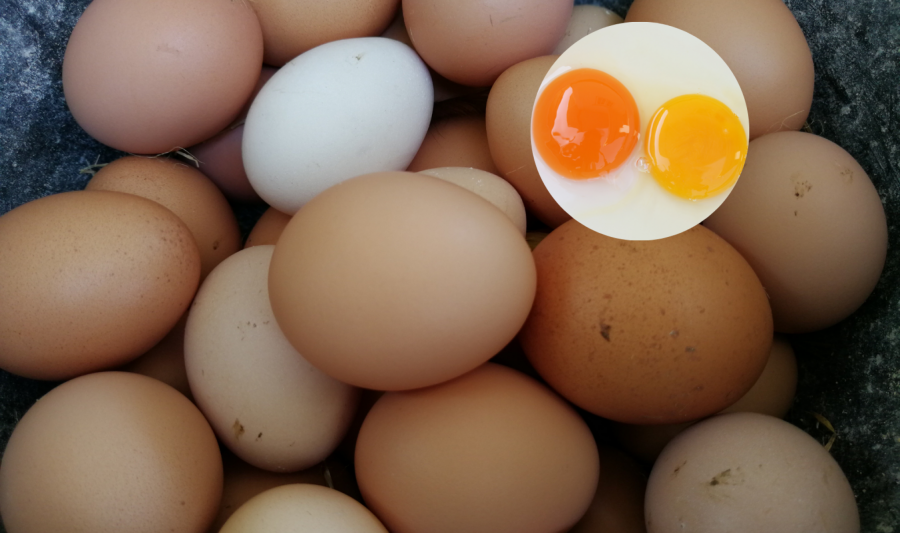 ODLAZAK U ZEMLJE EVROZONE Ako nameravate put Hrvatske ovo je spisak stvari koje smete da unesete, u suprotnom kazne su drakonske!