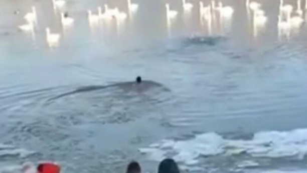 HEROJ IZ BEČEJA! Vaterpolista skočio u ledenu Tisu da spase psa (VIDEO)