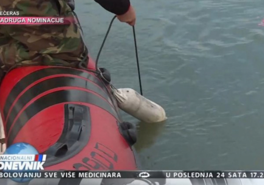 HRVATSKA POLICIJA NA NOGAMA! Da li je Matej Periš nađen? Čeka se identifikacija!