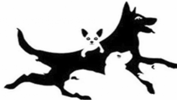 KOLIKO PASA VIDITE NA OVOJ SLICI? Odgovor govori mnogo o vašoj ličnosti i mentalnom sklopu