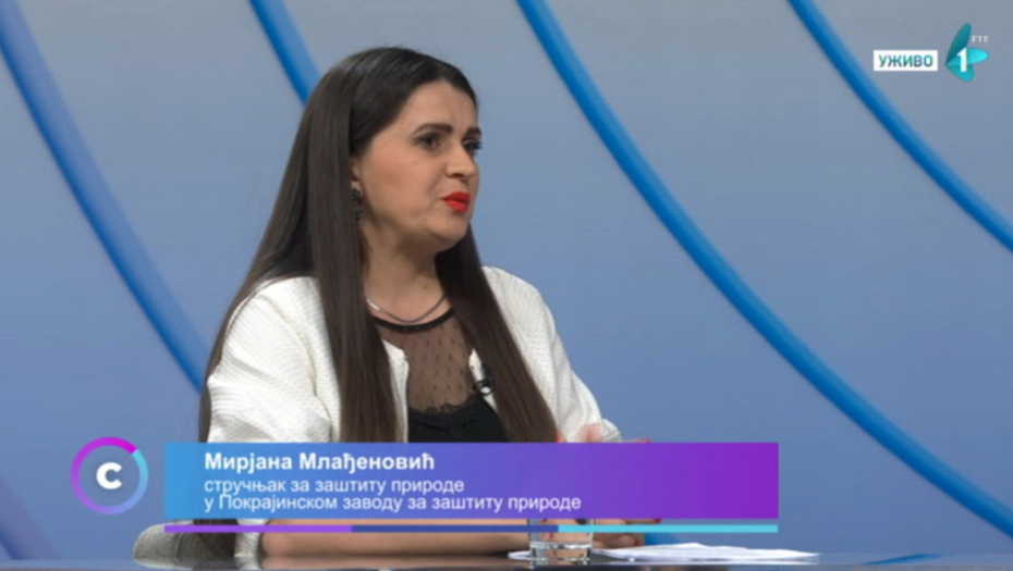 URBANISTIČKI PLAN NOVOG SADA Studija rađena godinu dana od strane 15 inženjera koji su sagledali sve aspekte uređenja Kameničke ade i Ribarskog ostrva