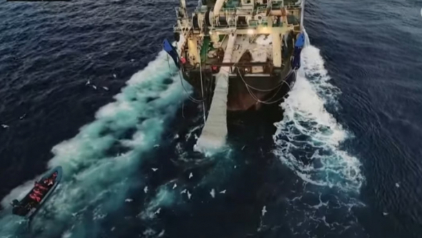GROZOMORNO! 100.000 LEŠEVA PLUTA VODOM Ogroman "tepih" mrtvih riba prekrio okean u blizini Francuske, stravične scene (VIDEO)
