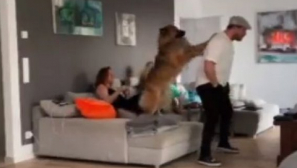 SKAKAO, VIKAO, UPLAŠIO UKUĆANE... Ovo još niste videli, ovako Nemac gleda utakmicu! (VIDEO)