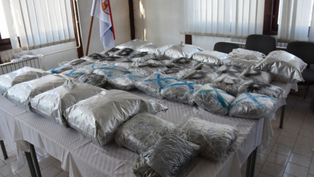 ZAPLENJENO 50 KILOGRAMA MARIHUANE U MLADENOVCU Policija uhapsila dve osobe prilikom primopredaje droge