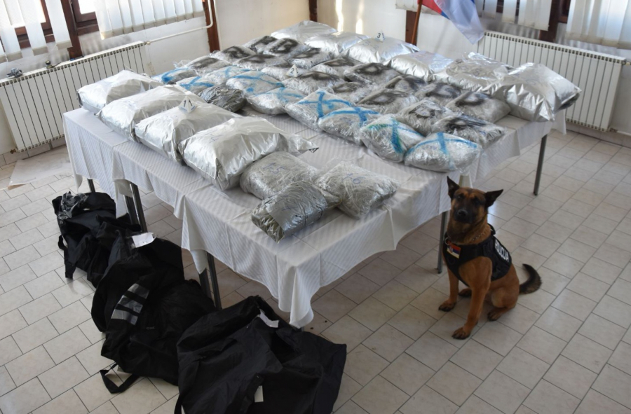 NEVEROVATNE PRIČE: OVAKO SU PADALI KAVČANI I ŠKALJARI Balkanska mafija i milionske zaplene droge