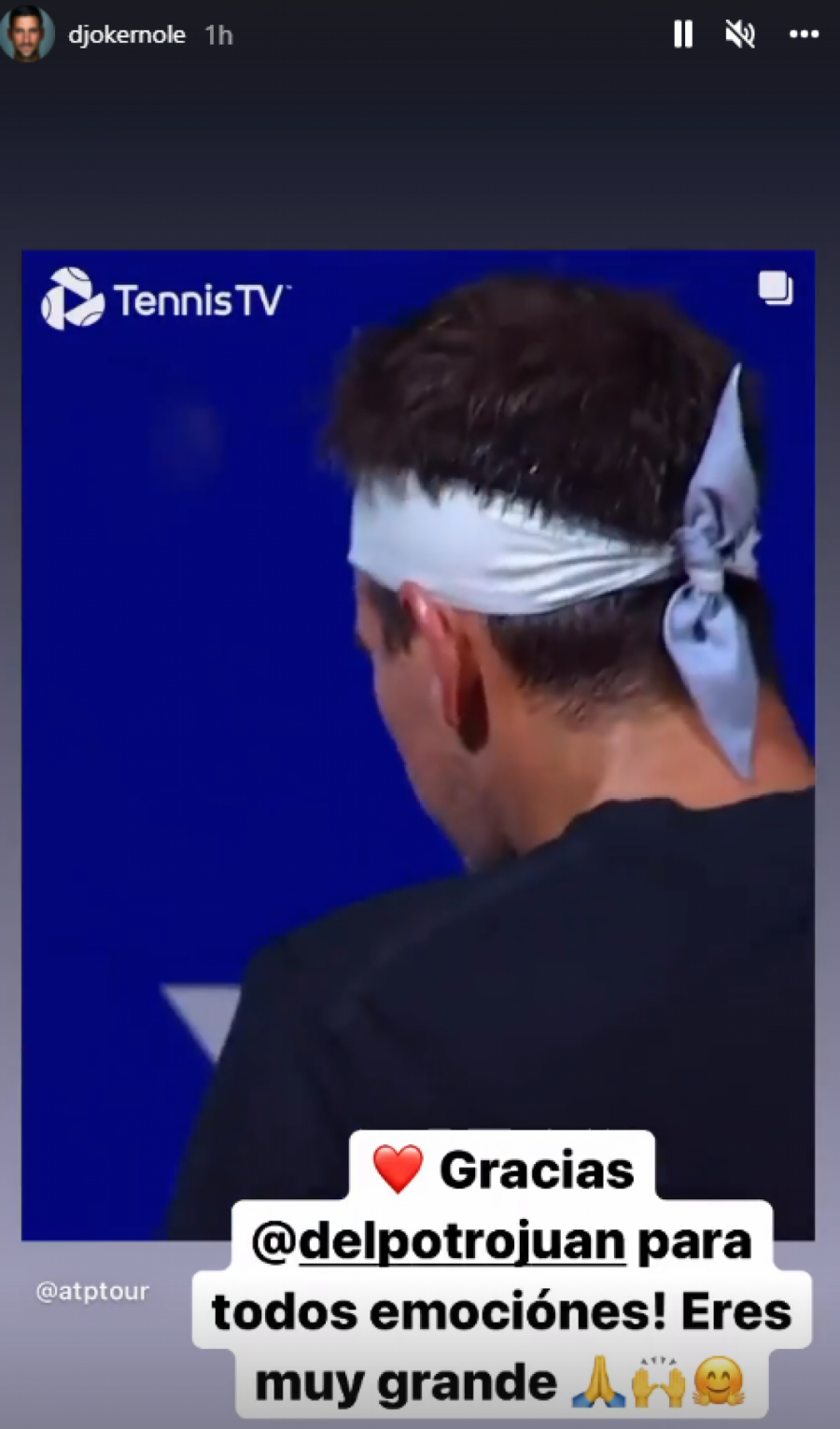 VELIKI PRIJATELJI VAN TERENA Del Potro završio karijeru, a Novakova poruka Argentincu obišla je svet!