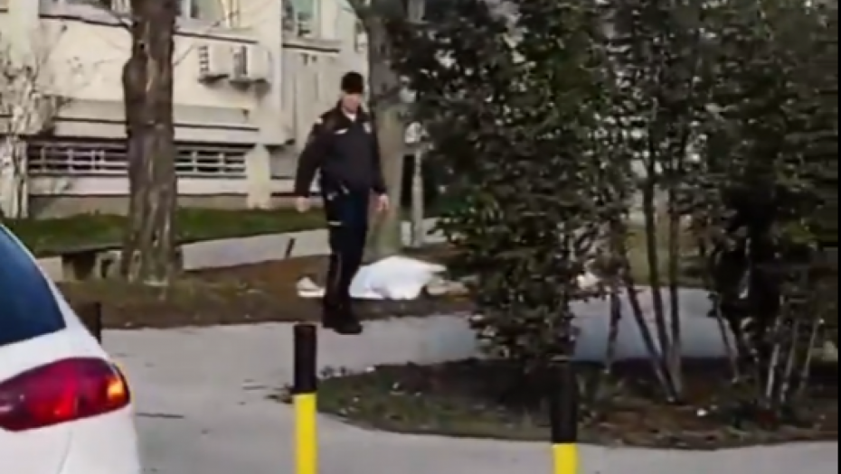 JEZIVA SCENA U ZEMUNU Leš pronađen između zgrada!