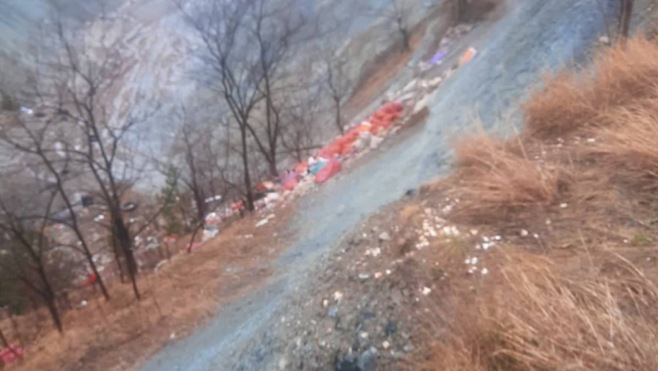 SMRAD MRTVIH ŽIVOTINJA ŠTIPA ZA OČI, PSI RAZVLAČE TRULE LEŠEVE Horor scene kod Kragujevca, meštani kažu: "Videli smo beli kombi..."