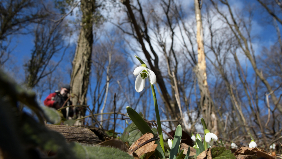 SUTRA POČINJE PROLEĆE Obdanica će trajati 12 casova i 9 minuta