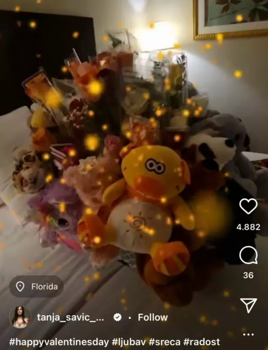 MISLI NA NJU I DOK JE U AMERICI! Tanja Savić se pohvalila nesvakidašnjim poklonom za Dan zaljubljenih, a jedan detalj je sve zaintrigirao! (FOTO)