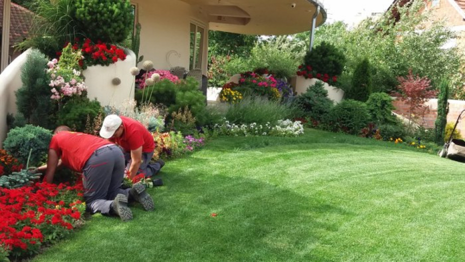 Obavite pripreme za radove u dvorištu: Evo kad je vreme da se doseje travnjak