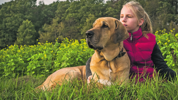 SNEŽNI KRALJEVI Iako su rase poreklom iz Skandinavije genetski sposobne da prežive surovu klimu, one su nežne i brižne prema vlasnicima