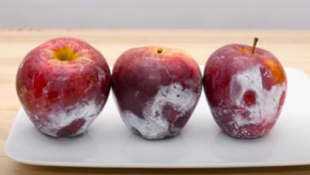 PRAVA ISTINA O KUPOVNIM JABUKAMA: Nikada ih ne jedite dok ih ne operete, pomoću vruće vode otkrijte da li su špricane otrovima