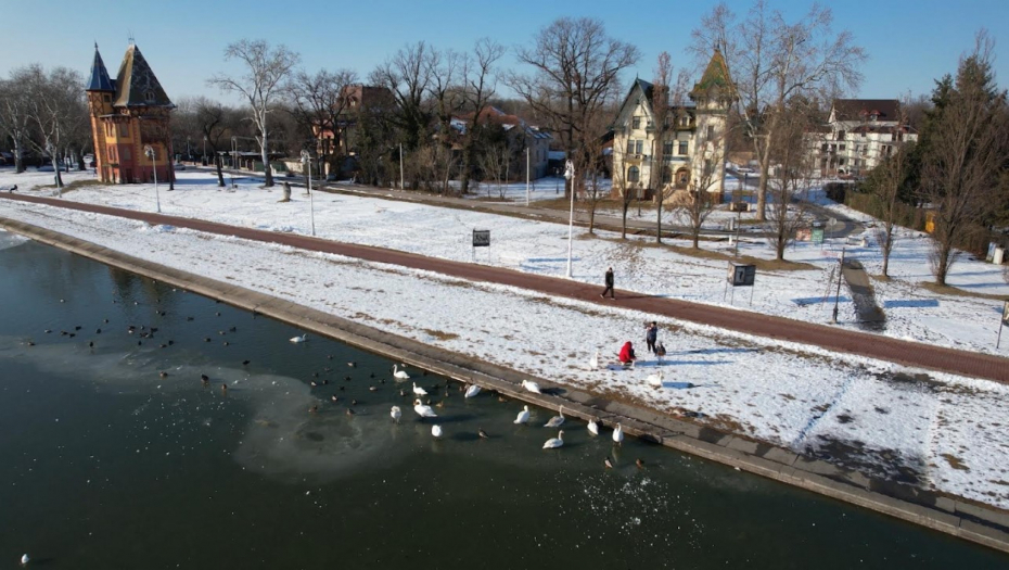 Susreo se oči u oči sa lavom i preživeo