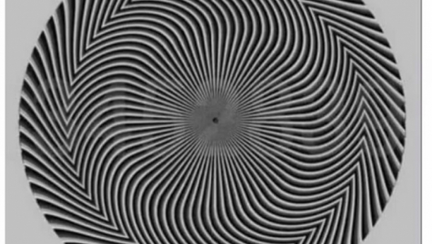 ZBOG OVE ZAGONETKE SU SE LJUDI POSVAĐALI: Skoro niko nije uspeo ovo da vidi, nalaze se na slici pored šara