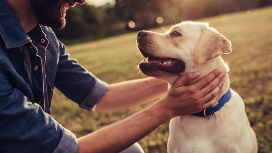 Naučite njihov jezik: Kako pas pokazuje svoju ljubav prema vama?